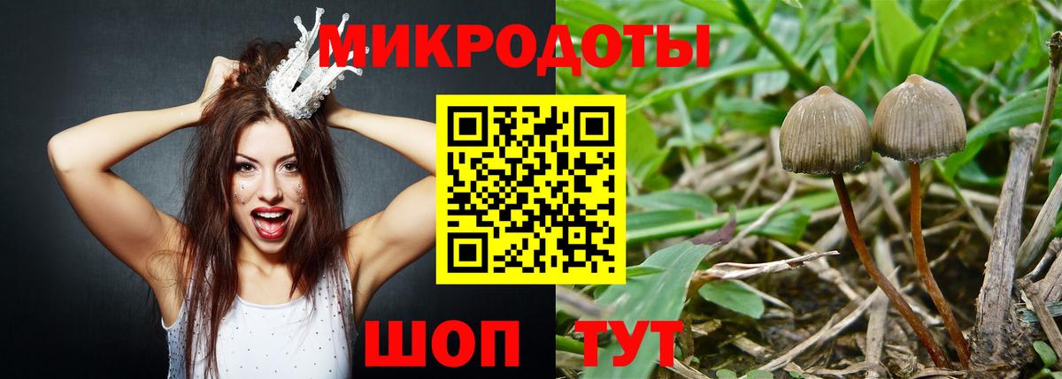 Галлюциногенные грибы ЛСД Куйбышев